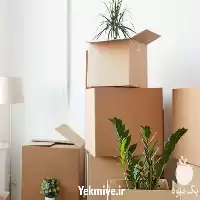 خرید خاک برای تمامی گل گیاهان در گروه انواع محصولات خاک و تغذیه در یکمیوه