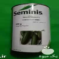 فروش بذر خیار 2 n در قزوین در گروه خرید و فروش بذر خیار در یکمیوه