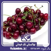 قیمت نهال آلبالو گوشواره ای در گروه خرید و فروش نهال در یکمیوه
