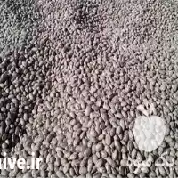 قیمت خرید لوبیا چیتی در اقلید در گروه خوراک دام و طیور در یکمیوه