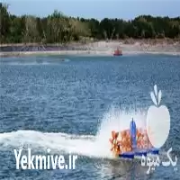 خرید انواع هواده پدل و یل ارزان در مازندران در گروه خرید و فروش تجهیزات ماهی در یکمیوه