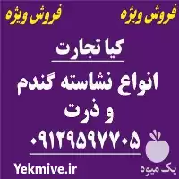 فروش نشاسته در تهران در گروه خوراک شیلات و آبزیان در یکمیوه