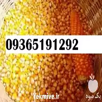 قیمت خرید بذر ذرت پر بار در فارس در گروه خرید و فروش بذر ذرت در یکمیوه