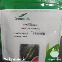 فروش بذر هندوانه B 32 قیمت عمده در کرمان  در گروه خرید و فروش بذر هندوانه در یکمیوه