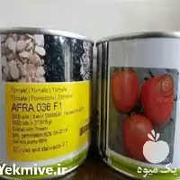 خرید بذر گوجه فرنگی افرا صادراتی در خوزستان در گروه خرید و فروش بذر گوجه در یکمیوه