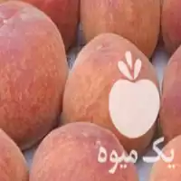 باری امانت نیما با بالاترین قیمت در ساری در گروه بارفروشی محصولات کشاورزی در یکمیوه