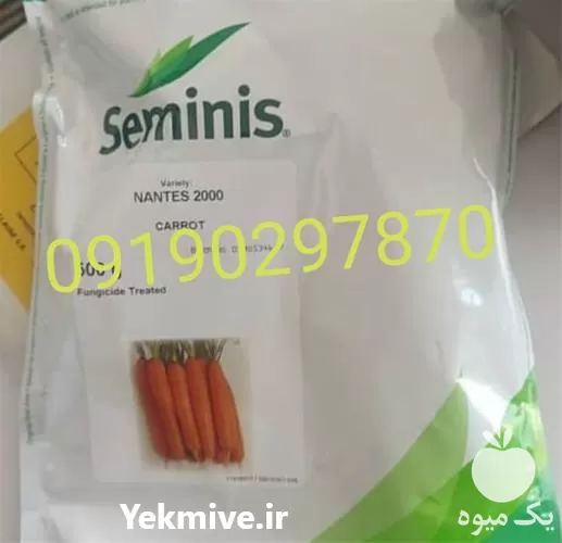 خرید بذر هویج نانتس مناسب کاشت در گروه خرید و فروش بذر هویج در یکمیوه -عکس1
