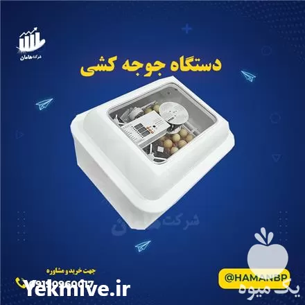 قیمت خرید جوجه کشی در سمنان در گروه تجهیزات مرغداری در یکمیوه -عکس1