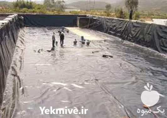 فروش اجرای استخر ژئوممبران در البرز در گروه خرید و فروش ژئوممبران در یکمیوه -عکس1