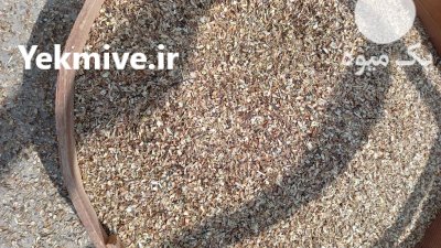 بذر خارمریم به صورت عمده در گنبد کاووس در گروه خرید و فروش گیاهان دارویی در یکمیوه -عکس1