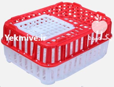 قفس مرغ زنده صنعتی و صادرات در گروه تجهیزات مرغداری در یکمیوه -عکس1