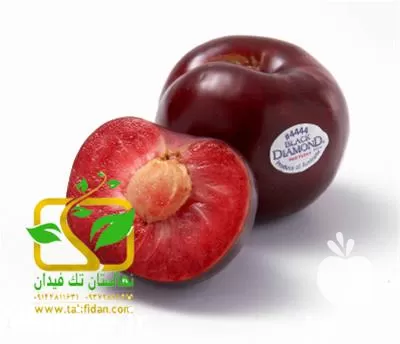 خرید نهال آلو بلک دیاموند در آذربایجان غربی در گروه خرید و فروش نهال در یکمیوه -عکس1