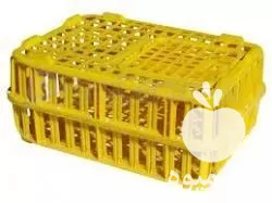 سبد پلاستیکی جوجه برای پرورش جوجه در تهران در گروه خرید و فروش انواع سبد در یکمیوه -عکس1