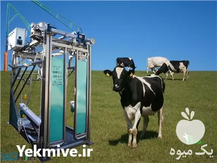 خرید باکس سم چینی برقی مدل در همدان در گروه تجهیزات دامداری در یکمیوه -عکس1