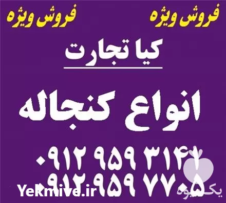 فروش انواع کنجاله در تهران در گروه خوراک دام و طیور در یکمیوه -عکس1