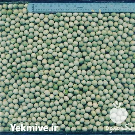 فروش عمده نخود سبز خشک در گروه خرید و فروش نخود در یکمیوه -عکس1