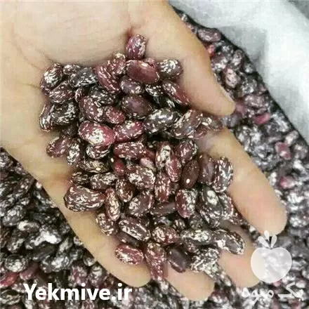قیمت خرید عمده لوبیا چیتی ازبکستان در مشهد در گروه خرید و فروش غلات و حبوبات در یکمیوه -عکس1