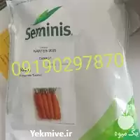 خرید بذر هویج نانتس مناسب کاشت در گروه خرید و فروش بذر هویج در یکمیوه