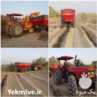 قیمت خرید دیسک کشاورزی در فارس در گروه خرید و فروش گاوآهن در یکمیوه