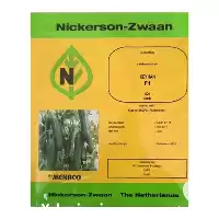 قیمت خرید بذر خیار کیهان در گروه خرید و فروش بذر خیار در یکمیوه