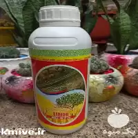 قیمت خرید سم حشره کش اتیون در خوزستان در گروه خرید و فروش انواع سم در یکمیوه