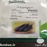 قیمت خرید بذر بادمجان لانگو در کرمان  در گروه خرید و فروش بذر بادمجان در یکمیوه