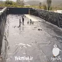 فروش اجرای استخر ژئوممبران در البرز در گروه خرید و فروش ژئوممبران در یکمیوه