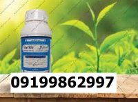 حشره کش استارکل در گروه خرید و فروش انواع سم در یکمیوه