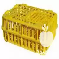 سبد پلاستیکی جوجه برای پرورش جوجه در تهران در گروه خرید و فروش انواع سبد در یکمیوه