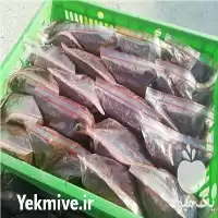 خرید کرم خاکی منجمد در گروه خوراک شیلات و آبزیان در یکمیوه