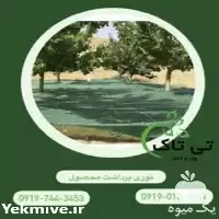 قیمت خرید توری شید 30 درصد در ارومیه در گروه خرید و فروش توری گلخانه در یکمیوه