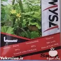 فروش بذر خیار سبا در تهران در گروه خرید و فروش بذر خیار در یکمیوه