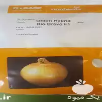 قیمت خرید بذر پیاز ریوبراوو در گروه خرید و فروش بذر پیاز در یکمیوه