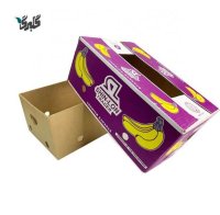 فروش کارتون موزی
