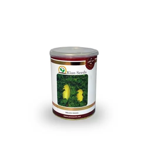 فروش بذر خربزه مشهدی کیانا در سیستان و بلوچستان در گروه خرید و فروش بذر خربزه در یکمیوه -عکس1