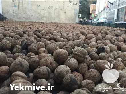 خرید گردو و مغز گردو تویسرکان در همدان در گروه خرید و فروش گردو در یکمیوه -عکس1