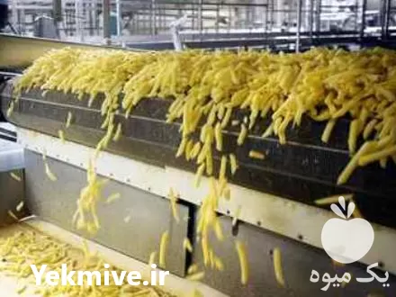 تولید خلال سیب زمینی منجمد فرنچ در اصفهان در گروه خرید و فروش سیب زمینی در یکمیوه -عکس1