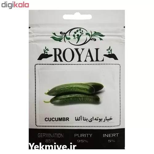 خرید بذر خیار بوته ای بتا در گروه خرید و فروش بذر خیار در یکمیوه -عکس1