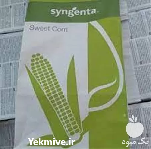 فروش بذر ذرت تارگت در گروه خرید و فروش بذر ذرت در یکمیوه -عکس1