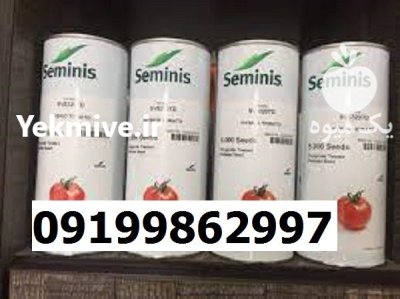 بذر گوجه فرنگی 8320 در گروه خرید و فروش بذر گوجه در یکمیوه -عکس1