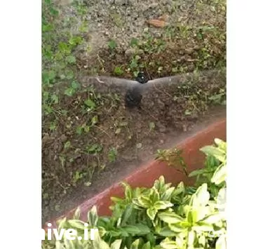 انجام آبیاری قطره ای در مازندران در گروه خرید و فروش دستگاه آبیاری در یکمیوه -عکس1