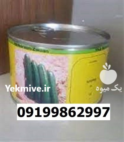 بذر خیار سوپرینا اصل در گروه خرید و فروش بذر خیار در یکمیوه -عکس1