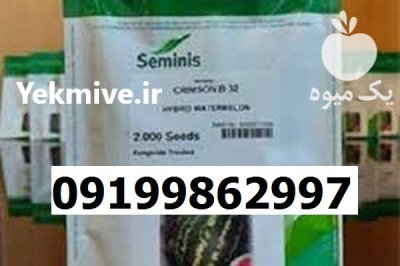 بذر هندوانه بی 32 اصل در ایلام در گروه خرید و فروش بذر هندوانه در یکمیوه -عکس1
