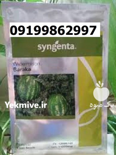 بذر هندوانه باراکا اصل در اصفهان در گروه خرید و فروش بذر هندوانه در یکمیوه -عکس1