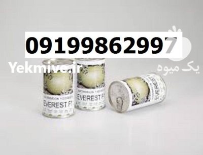 بذر هندوانه اورست اصل در اصفهان در گروه خرید و فروش بذر هندوانه در یکمیوه -عکس1