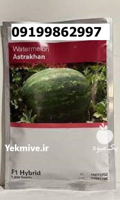 بذر هندوانه استاراخان در اصفهان در گروه خرید و فروش بذر هندوانه در یکمیوه -عکس1