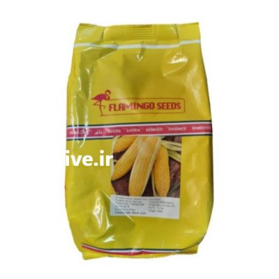 بذر ذرت سمیرا در اصفهان در گروه خرید و فروش بذر ذرت در یکمیوه -عکس1