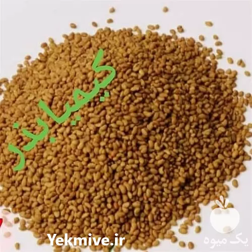 فروش بذر یونجه اصلاح شده در لرستان در گروه خرید و فروش بذر یونجه در یکمیوه -عکس1