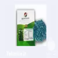 بذر خیار هیبرید گلخانه ای چیتا در گروه خرید و فروش بذر خیار در یکمیوه