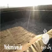 قیمت خرید تامین و اجرا در گروه خرید و فروش ژئوممبران در یکمیوه